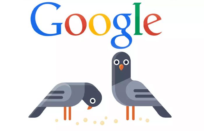 الگوریتم کبوتر Pigeon گوگل