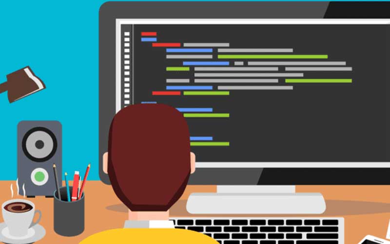 مقایسه مستقیم افزونه و functions.php